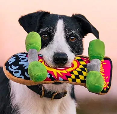 Plyšový skateboard 24,6cm