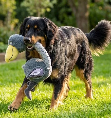 Plyšový pštros s pevným gumovým krkem 43cm
