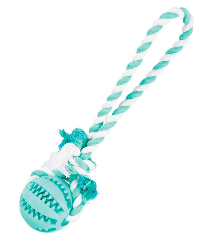 Přetahovadlo s denta míčem 7cm/24cm