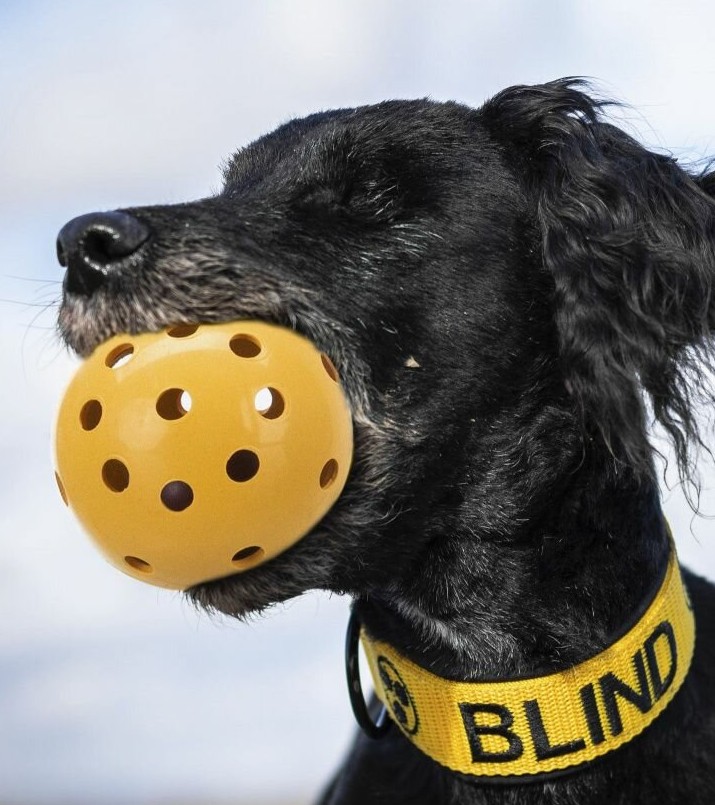 Míč s rolničkou pro slepé pejsky 7cm