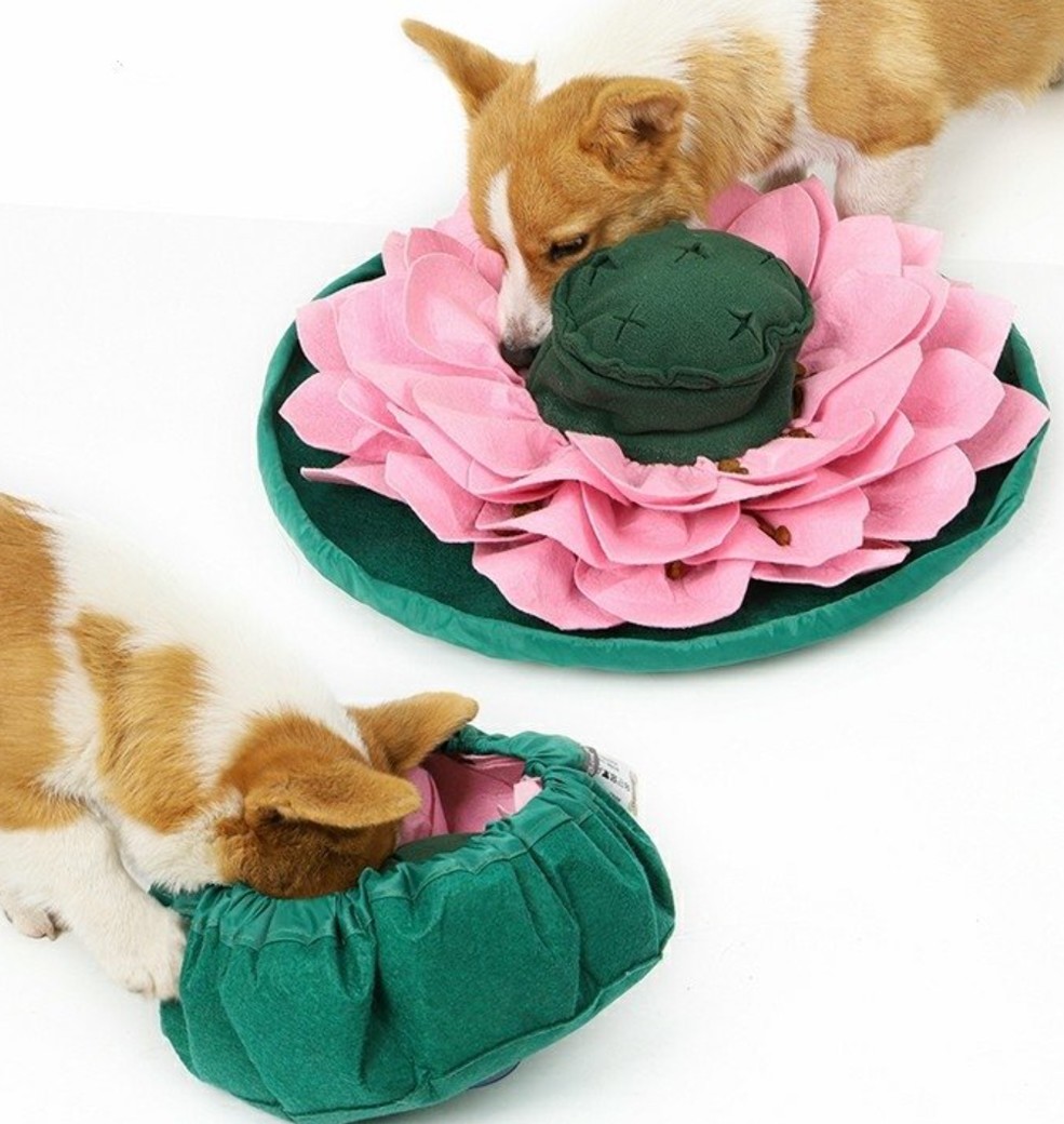 Čmuchací kobereček Lotus 45cm