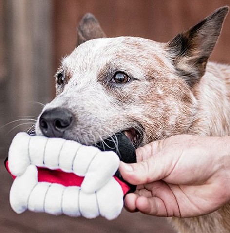 Plyšové upíří zuby šustící+pískací 11cm