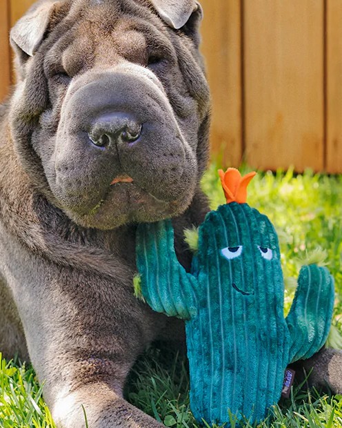 Plyšový kaktus pískací+šustící 24cm