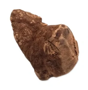 Epic Pet kořen vřesový přírodní M (cca 10cm)