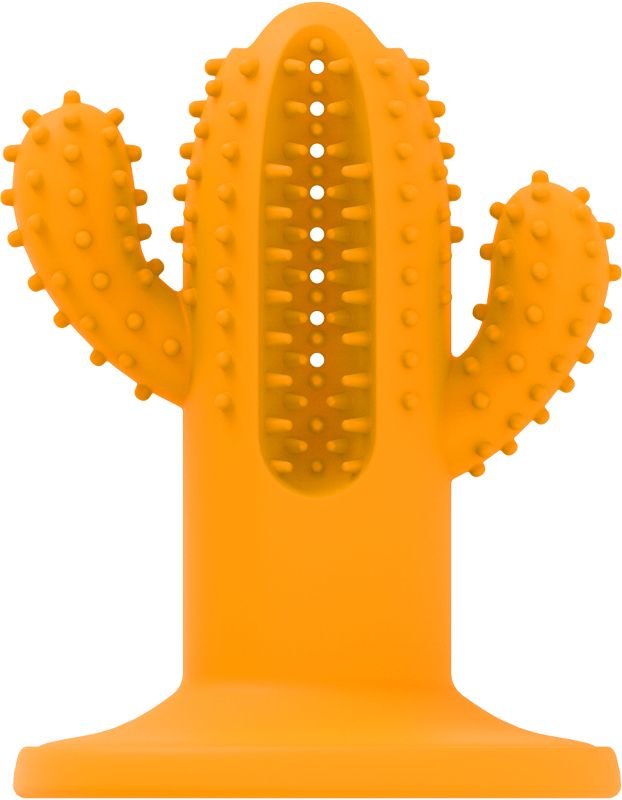 Dental Cactus AFP M (12cm)