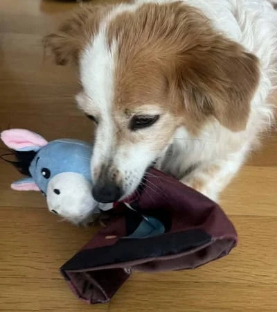 Plyšový šustící oslík maňásek 28cm
