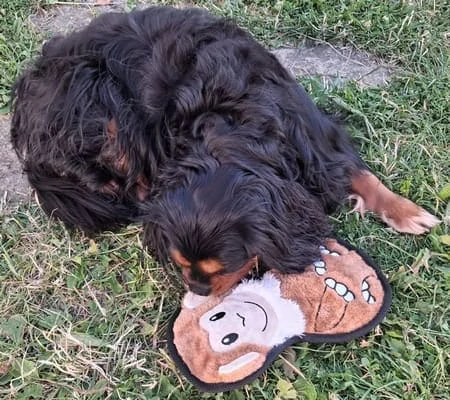 Plyšová opička plochá pískací 25cm